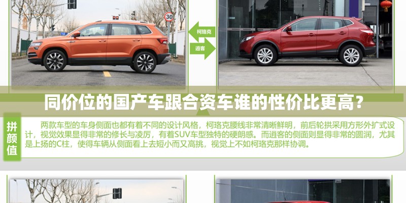 楼顶种什么植物合适？