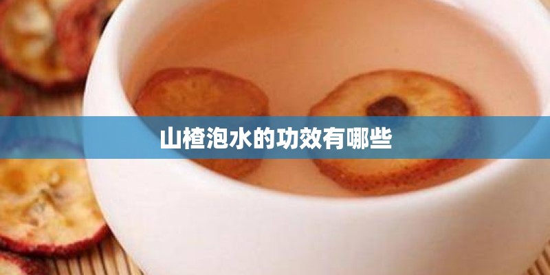 适合北方人种植的花有哪些