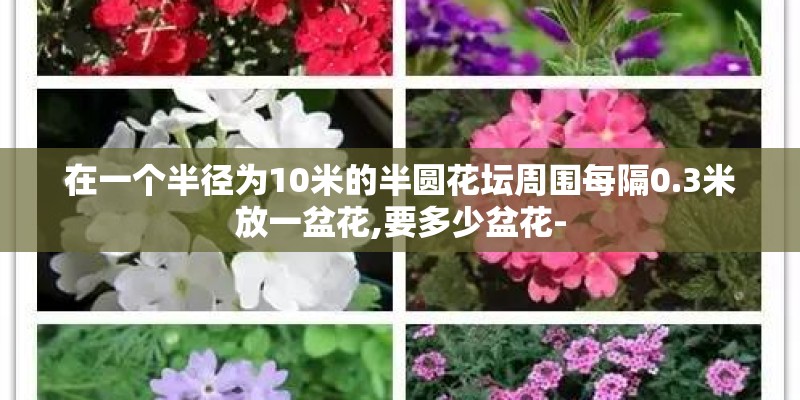 在一个半径为10米的半圆花坛周围每隔0.3米放一盆花,要多少盆花-