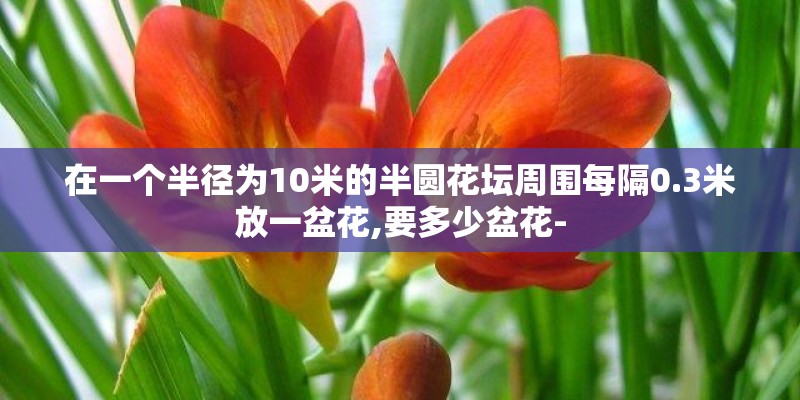 在一个半径为10米的半圆花坛周围每隔0.3米放一盆花,要多少盆花-