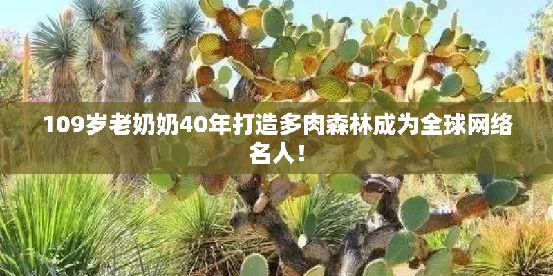 109岁老奶奶40年打造多肉森林成为全球网络名人！