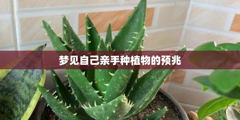 梦见自己亲手种植物的预兆