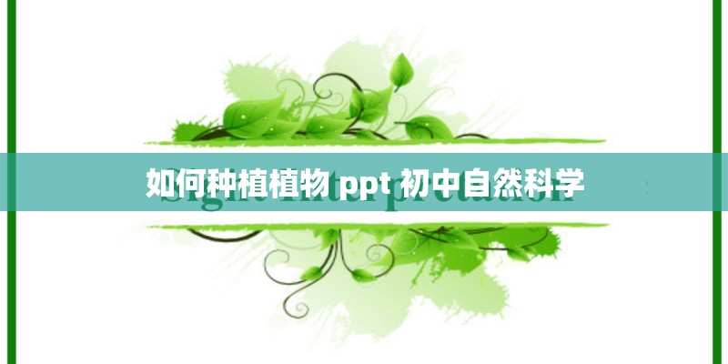 如何种植植物 ppt 初中自然科学