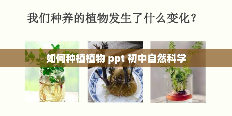 如何种植植物 ppt 初中自然科学