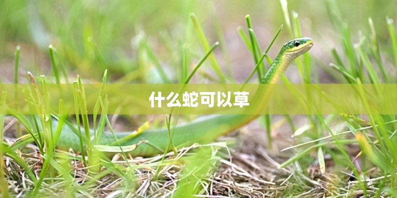 什么蛇可以草