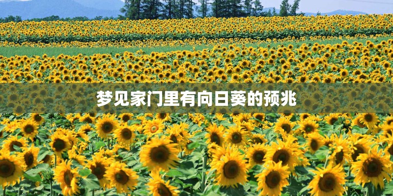 梦见家门里有向日葵的预兆
