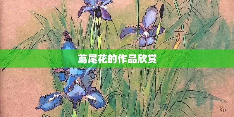茑尾花的作品欣赏