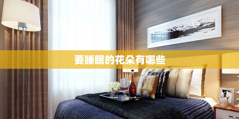 要睡眠的花朵有哪些