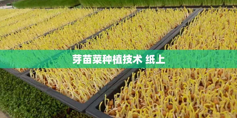 芽苗菜种植技术 纸上