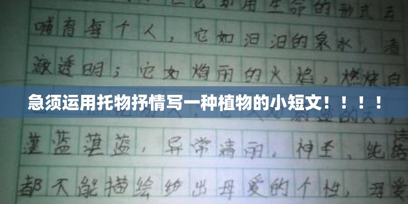 急须运用托物抒情写一种植物的小短文！！！！