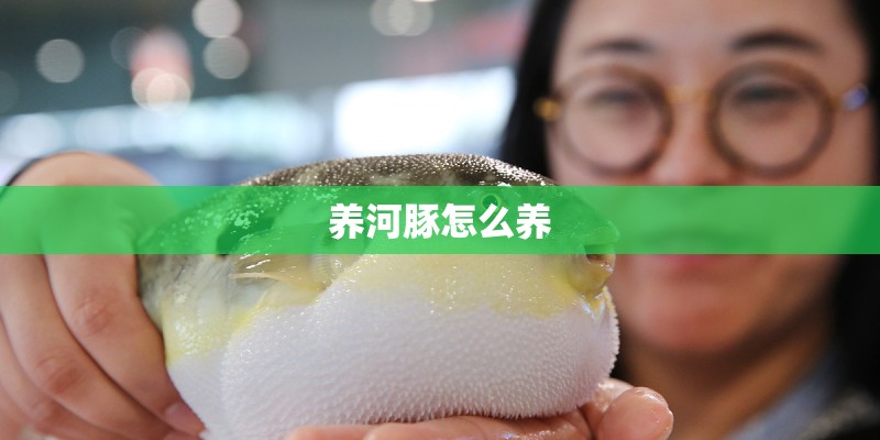 养河豚怎么养