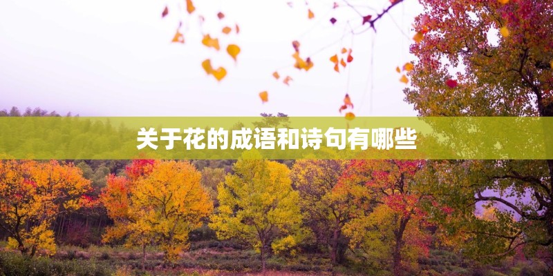 关于花的成语和诗句有哪些