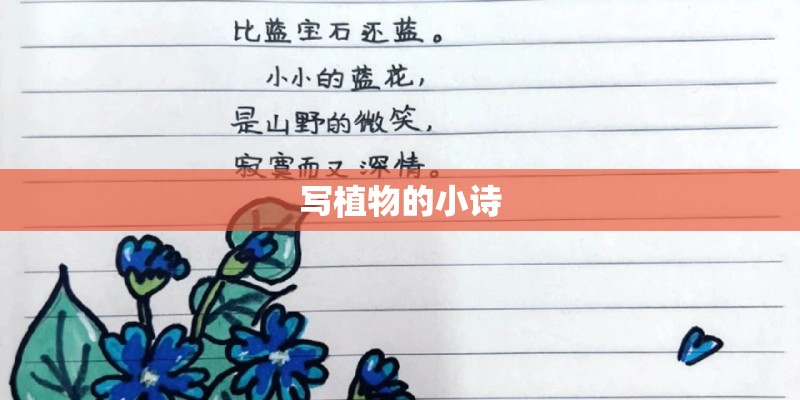 写植物的小诗