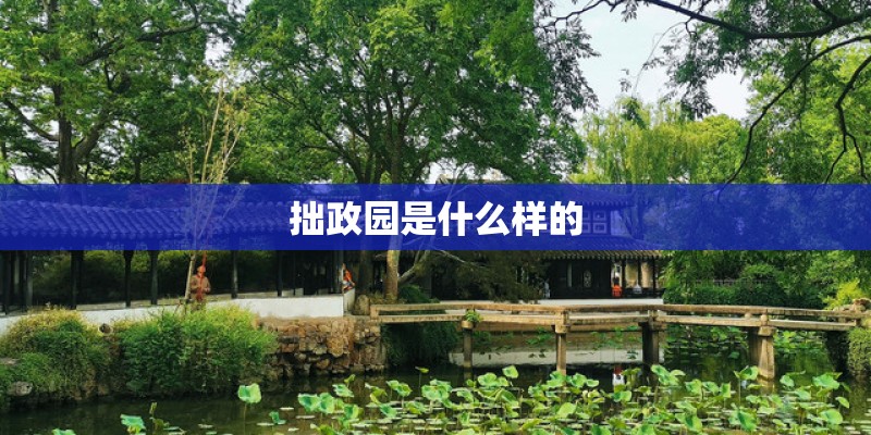 拙政园是什么样的