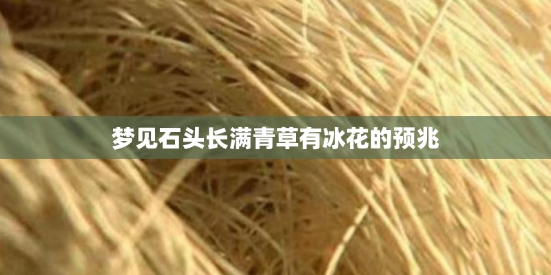 梦见石头长满青草有冰花的预兆