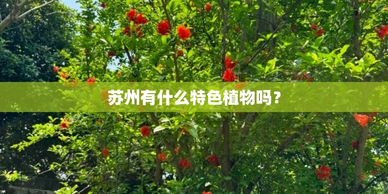 苏州有什么特色植物吗? 苏州有什么特色植物吗?
