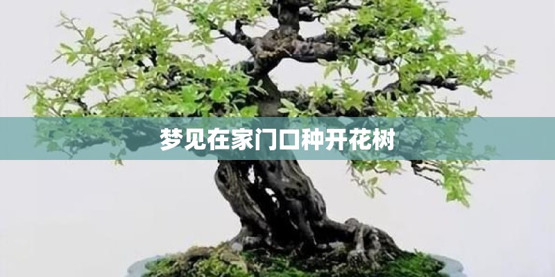 文明实践活动总结通用