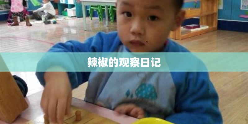 辣椒的观察日记
