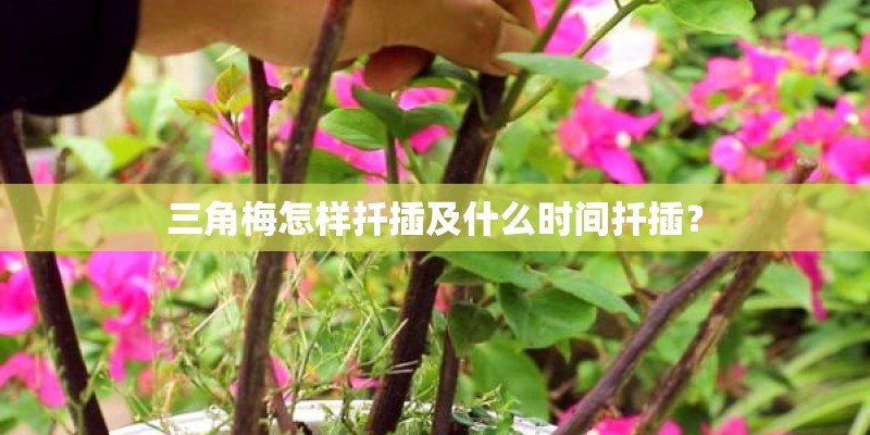 松柳收割几次