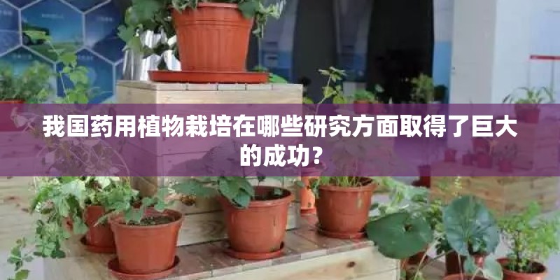 我国药用植物栽培在哪些研究方面取得了巨大的成功？