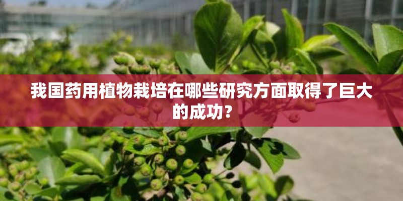 我国药用植物栽培在哪些研究方面取得了巨大的成功？