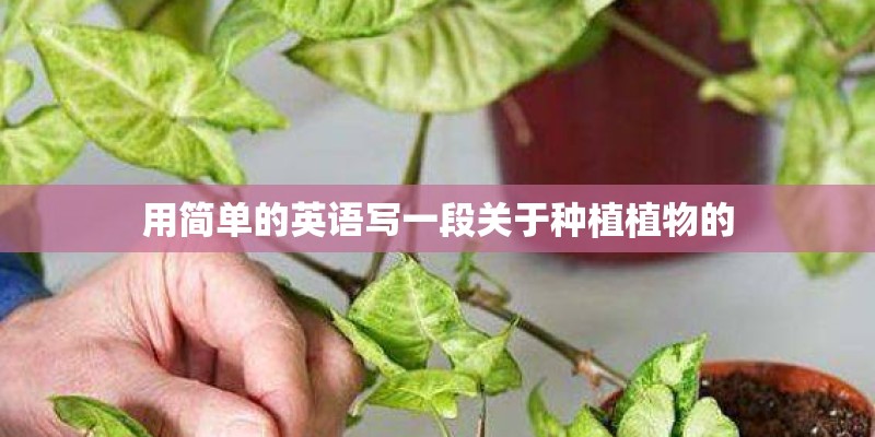 用简单的英语写一段关于种植植物的