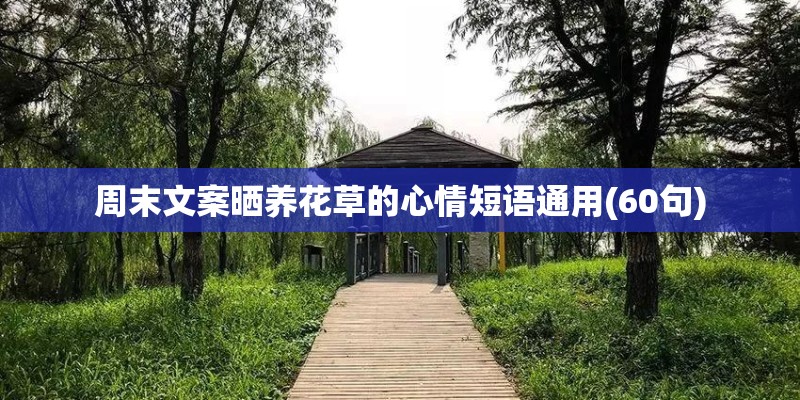 周末文案晒养花草的心情短语通用(60句)
