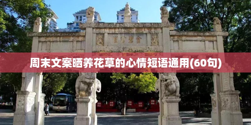 周末文案晒养花草的心情短语通用(60句)