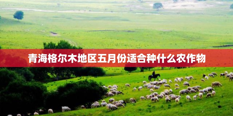 青海格尔木地区五月份适合种什么农作物