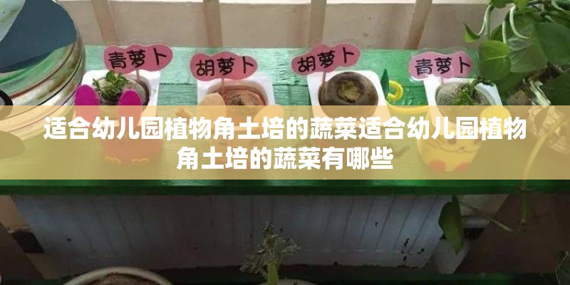 适合幼儿园植物角土培的蔬菜适合幼儿园植物角土培的蔬菜有哪些