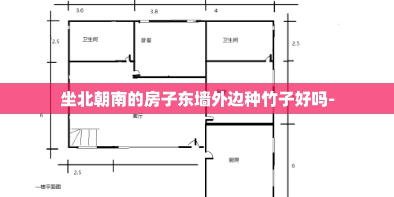 坐北朝南的房子东墙外边种竹子好吗-