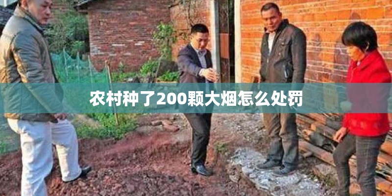 农村种了200颗大烟怎么处罚