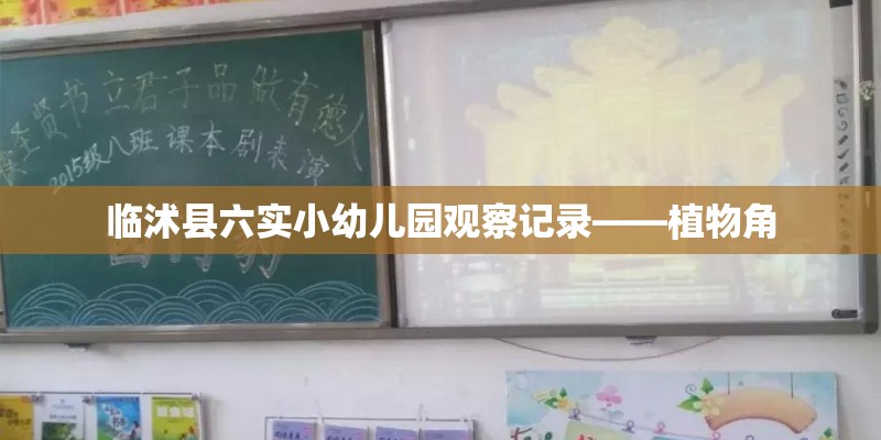 临沭县六实小幼儿园观察记录——植物角