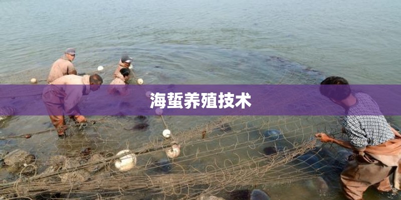 海蜇养殖技术