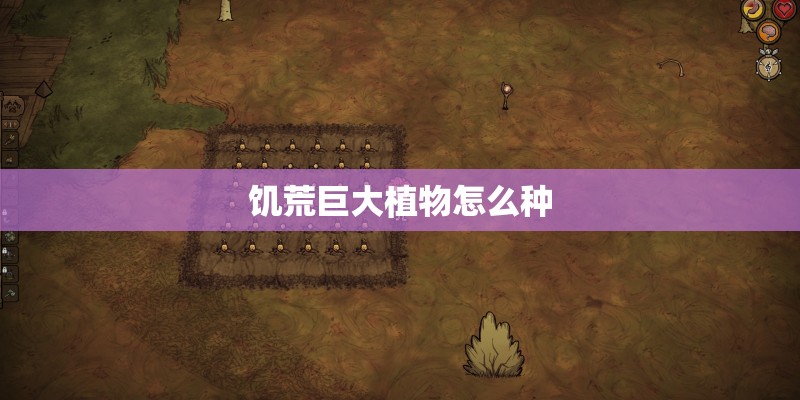 饥荒巨大植物怎么种
