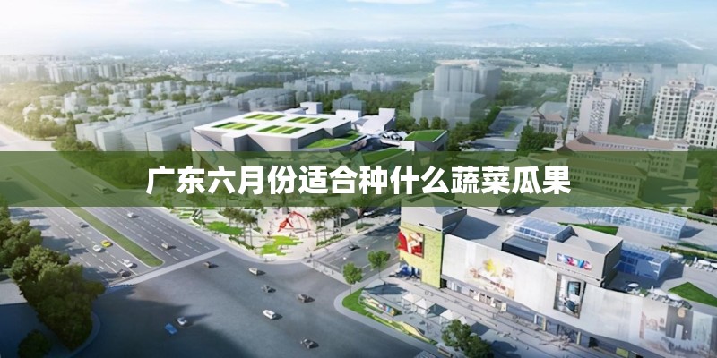 广东六月份适合种什么蔬菜瓜果