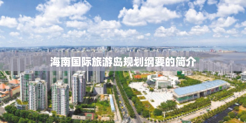 海南国际旅游岛规划纲要的简介