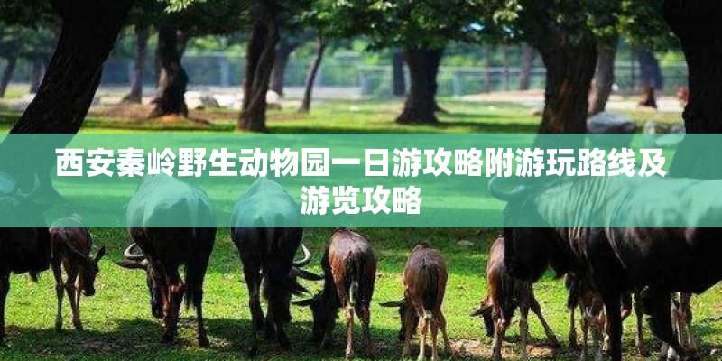 西安秦岭野生动物园一日游攻略附游玩路线及游览攻略