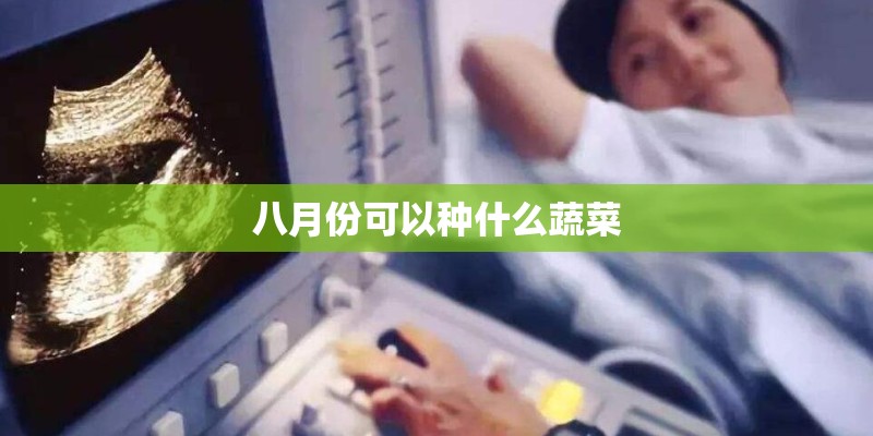 八月份可以种什么蔬菜