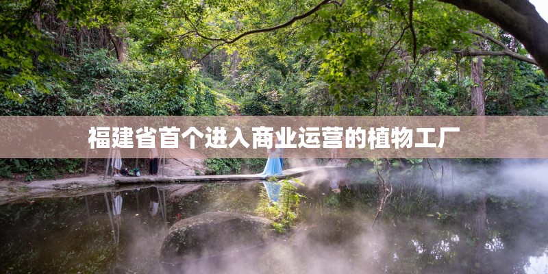 福建省首个进入商业运营的植物工厂